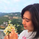 Profile picture of Nguyễn Việt Vương